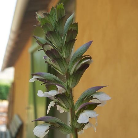 فيلا Le Petit Bacalan Mormoiron المظهر الخارجي الصورة